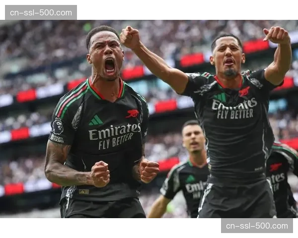 阿森纳防线稳固度显著提升 成为赛季中后段抢分关键基石 阿森纳防线稳固度显著提升 成为赛季中后段抢分关键基石